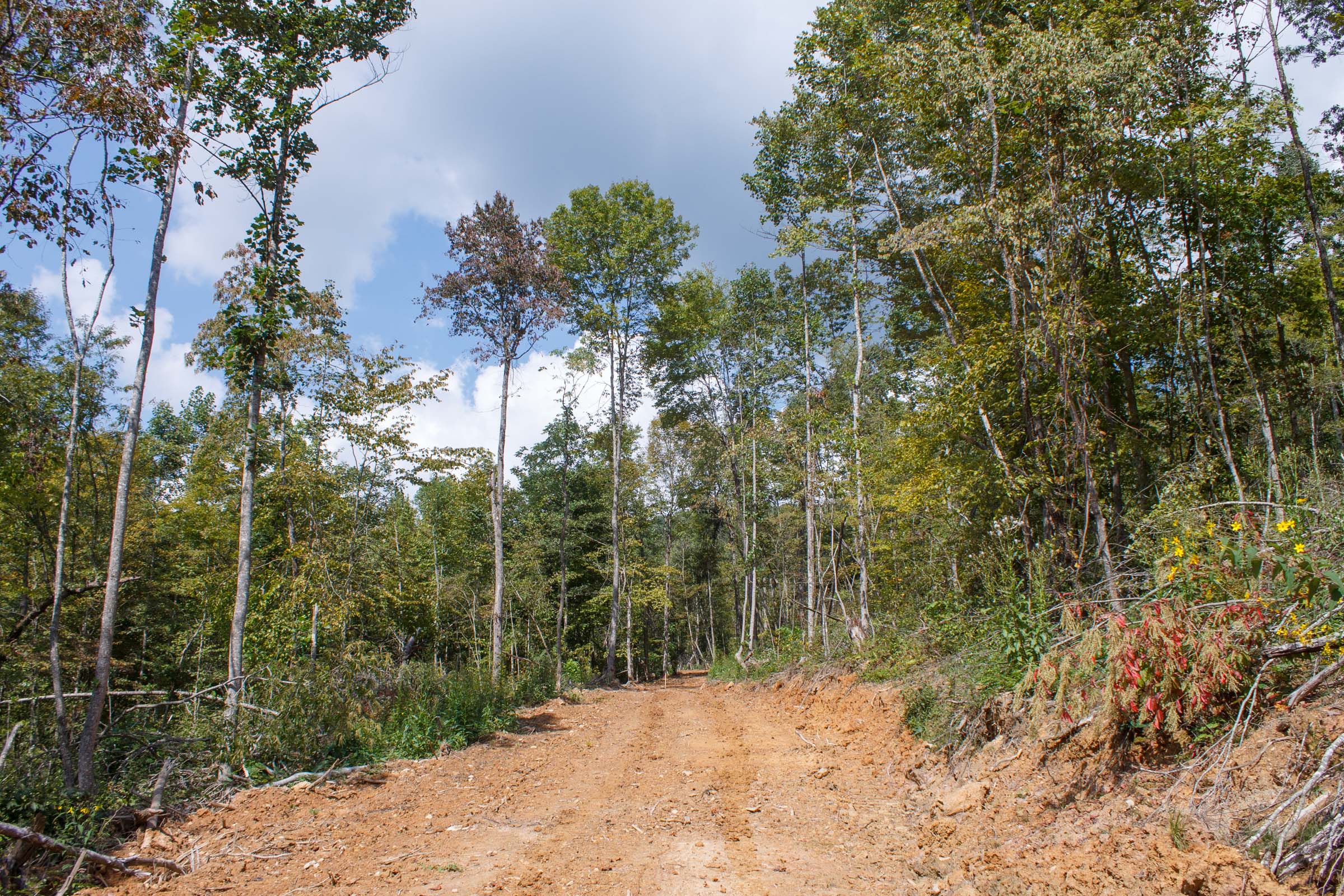 Tract 15 at Wounded Oak in Rockcastle County, Kentucky