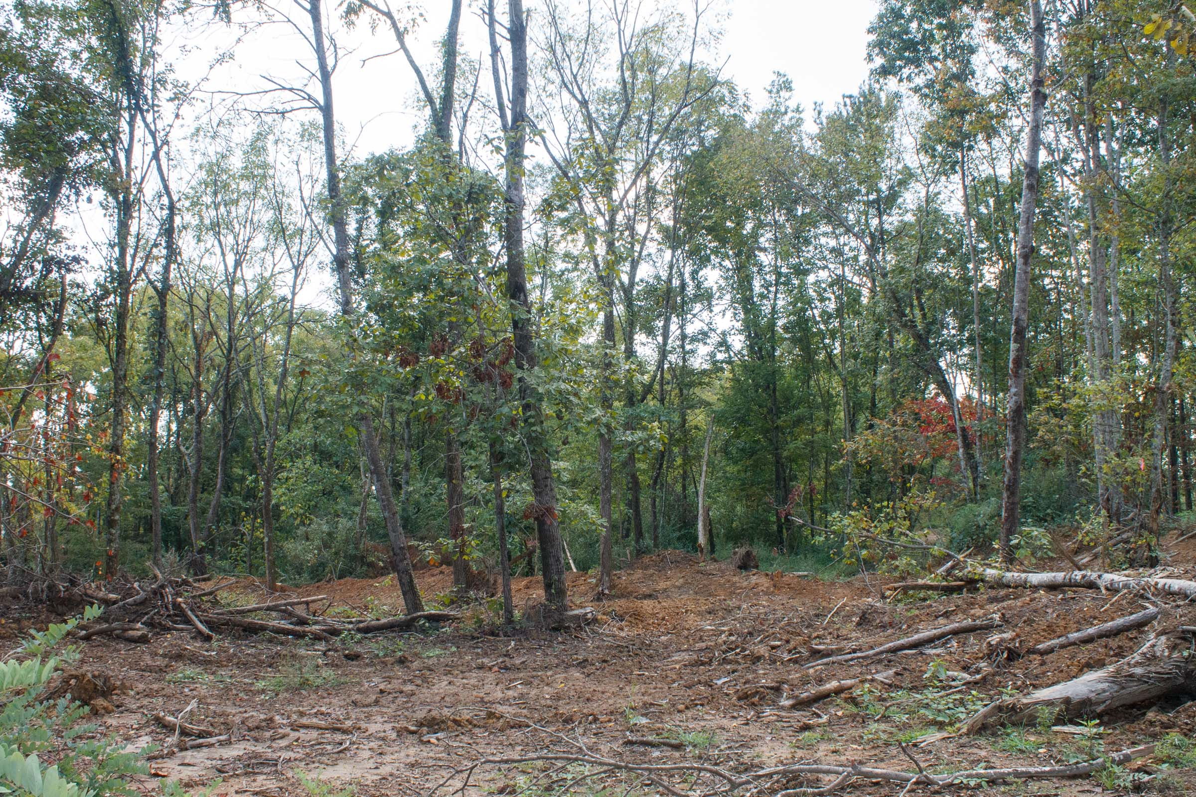 Tract 18 at Wounded Oak in Rockcastle County, Kentucky