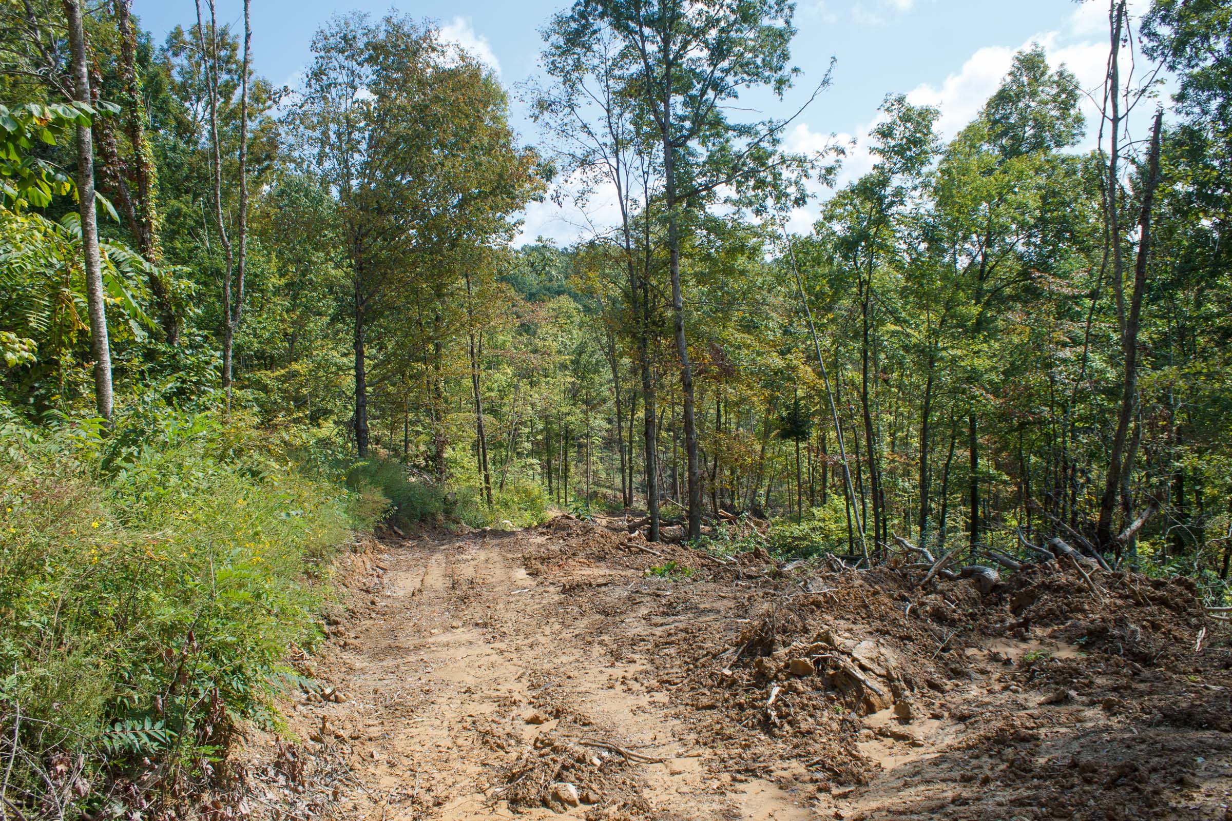 Tract 19 at Wounded Oak in Rockcastle County, Kentucky