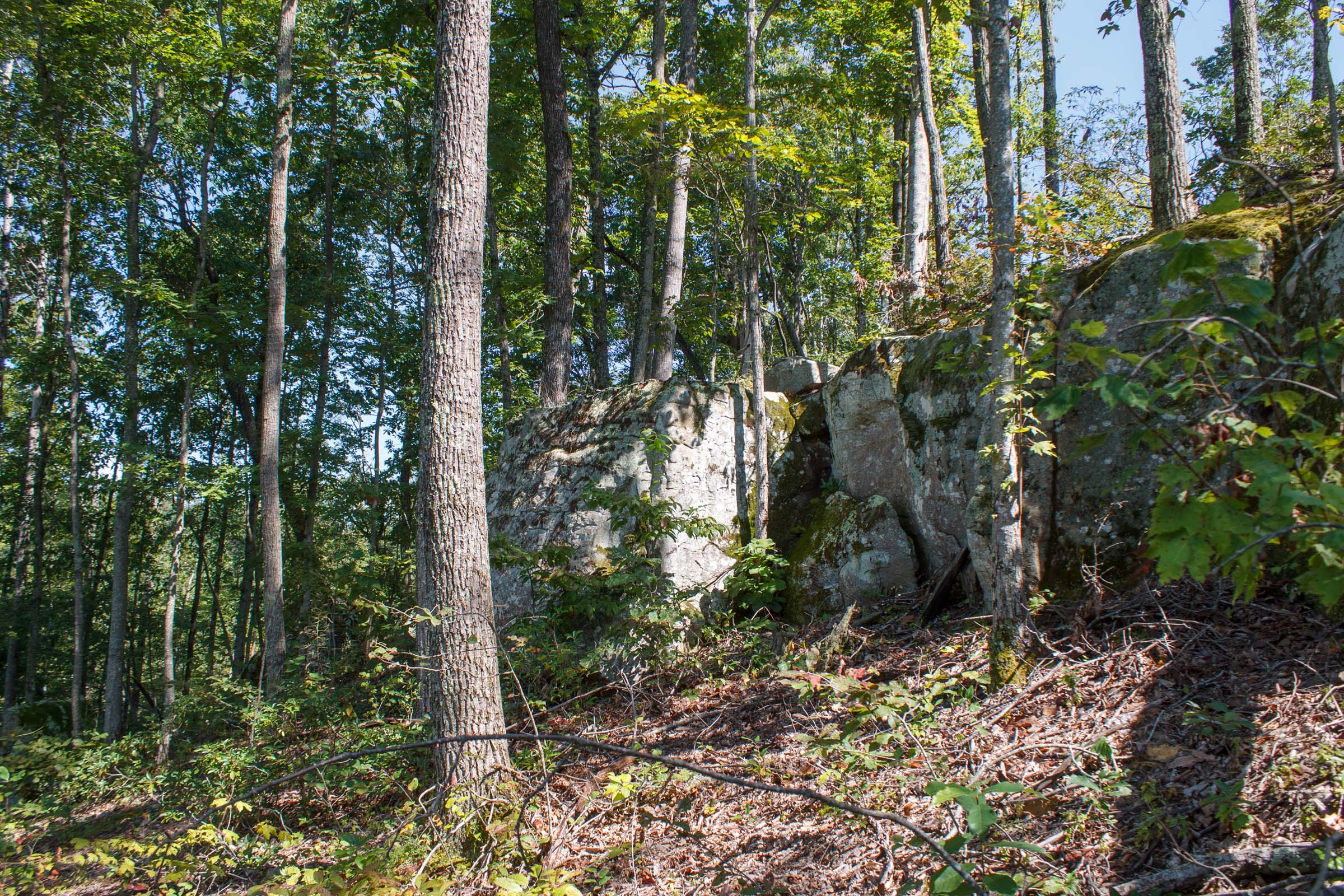 Tract 2 at Wounded Oak in Rockcastle County, Kentucky