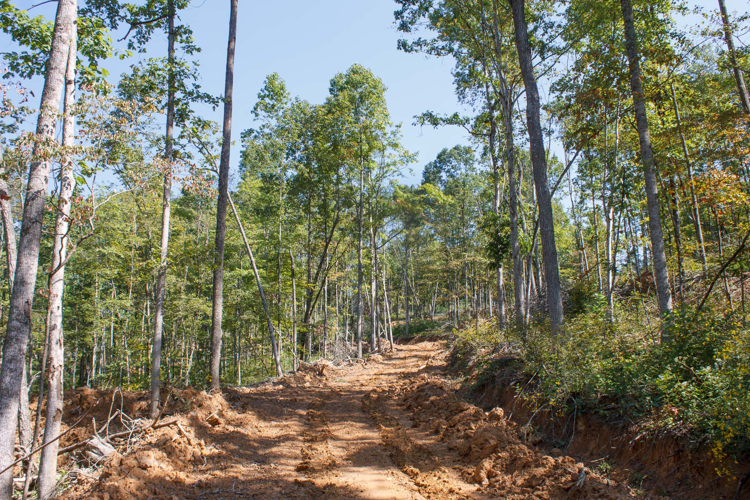 Tract 5 at Wounded Oak in Rockcastle County, Kentucky